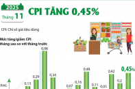 CPI tháng 11/2025 tăng 0,45%