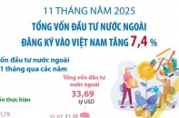Tổng vốn đầu tư nước ngoài đăng ký vào Việt Nam tăng 7,4% sau 11 tháng năm 2025