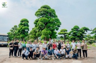 Thương hiệu uy tín của các giải pháp logistics và cây xanh