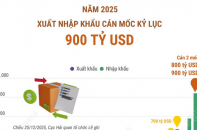 Năm 2025, xuất nhập khẩu cán mốc kỷ lục 900 tỷ USD