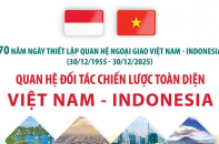 Quan hệ đối tác chiến lược toàn diện Việt Nam - Indonesia