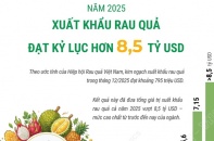 Xuất khẩu rau quả “lội ngược dòng” ấn tượng, đạt kỷ lục 8,5 tỷ USD trong năm 2025