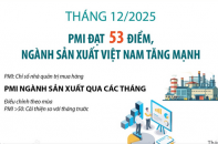 PMI đạt 53 điểm, ngành sản xuất Việt Nam tăng mạnh