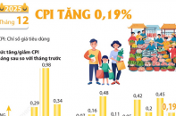 CPI tháng 12/2025 tăng 0,19%