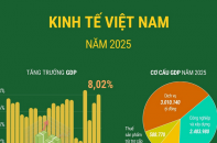 Kinh tế Việt Nam năm 2025