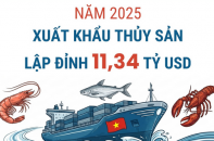 Xuất khẩu thủy sản đạt 11,34 tỷ USD trong năm 2025
