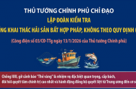Thủ tướng chỉ đạo lập đoàn kiểm tra chống khai thác hải sản bất hợp pháp, không theo quy định (IUU)