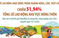 Lao động hoạt động trong ngành nông, lâm, thủy sản chiếm 51,94% tổng số lao động khu vực nông thôn