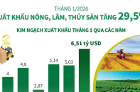 Xuất khẩu nông, lâm, thủy sản tháng 1/2026 tăng 29,5% so với cùng kỳ năm trước