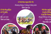 Một số lễ hội và giải đua ngựa truyền thống ở Việt Nam