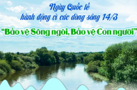 Ngày Quốc tế hành động vì các dòng sông 14/3: "Bảo vệ Sông ngòi, Bảo vệ Con người"