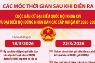 Bầu cử Quốc hội và HĐND: Các mốc thời gian sau khi diễn ra cuộc bầu cử