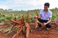 Tập đoàn Ajinomoto - Từ "Khoa học về Axit amin" đến hệ sinh thái công nghệ xanh
