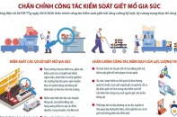 Chấn chỉnh công tác kiểm soát giết mổ gia súc