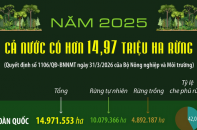 Cả nước có hơn 14.97 triệu ha rừng