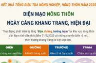Diện mạo nông thôn ngày càng khang trang, hiện đại