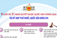 Thông tin về 9 luật và 31 nghị quyết được Quốc hội thông qua tại Kỳ họp thứ nhất, Quốc hội khóa XVI