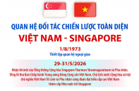 Quan hệ Đối tác chiến lược toàn diện Việt Nam - Singapore