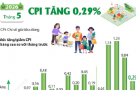 CPI tháng 5/2026 tăng 0,29%