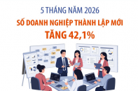 Số doanh nghiệp thành lập mới tăng 42,1% sau 5 tháng năm 2026