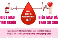 Ngày Quốc tế Người hiến máu 14/6: Giọt máu tình người - Hiến máu đào, trao sự sống