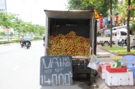 Hà Nội sẽ mở kênh phân phối vải thiều lưu động