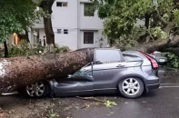 4,65 tỷ đồng bồi thường xe sang sau trận siêu giông