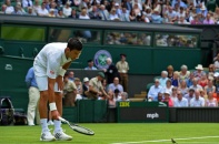 Khoảnh khắc thú vị chim sẻ sà xuống sân xem Djokovic thi đấu