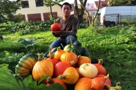 Ngắm vườn bí trĩu quả của gia đình Việt ở Séc