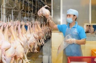 Công bố cấm 5 loại chất tạo màu vàng cho thịt gà có thể gây ung thư