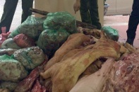 Phát hiện 1 tấn thịt lợn chết vì bệnh đang tuồn vào chợ đầu mối Phùng Khoang