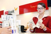 Tỷ giá USD tại Việt Nam có bị áp lực khi Fed tăng lãi suất 0,25%?