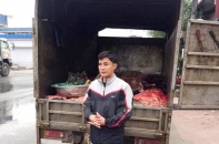 Thường Tín, Hà Nội: Bắt giữ 1 tấn nội tạng trâu bò không rõ nguồn gốc
