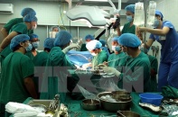 Việt Nam chuẩn bị mọi công tác tiếp nhận kỹ thuật ghép đầu người đầu tiên