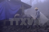 Miền Bắc chìm trong giá rét, nhiệt độ Hà Nội xuống 5 độ C