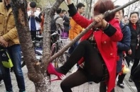 Khách Trung Quốc phá hoa anh đào gây bão mạng