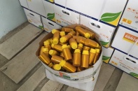 Bắt đường dây "hô biến" thuốc trừ sâu Trung Quốc hết "đát" thành hàng trong nước 