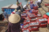 Hà Tĩnh: Hàm lượng kim loại nặng trong 16 mẫu hải sản đều ở ngưỡng cho phép