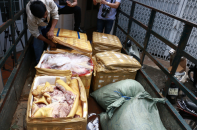 Phát hiện xe tải vận chuyển hơn 700 kg thịt heo hôi thối