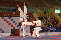 Những màn trình diễn đặc sắc tại lễ khai mạc Giải vô địch Karate Shoto Asean - Japan 2016