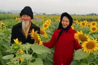 Ngưỡng mộ ảnh cụ ông nắm tay cụ bà giữa cánh đồng hướng dương 