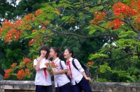 Tình bạn tuổi học trò nhí nhảnh, hồn nhiên cùng đón mùa hoa phượng 