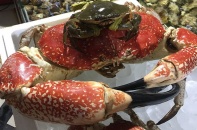 Tiệc tất niên nhà đại gia: Ăn 1 con cua giá 60 triệu đồng