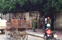 Công an bắt nhốt đàn chó cắn bé trai ở Hưng Yên