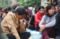 Chủ tịch Hà Nội nói về việc hơn 250 giáo viên kêu cứu