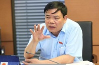 Dịch tả châu Phi lan ra 48 tỉnh thành, hơn 2 triệu con lợn bị tiêu huỷ