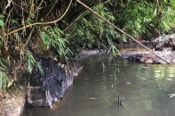 Khởi tố vụ án nước sạch Sông Đà bốc mùi, nhiễm dầu thải 