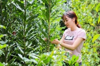 Nữ tỷ phú 9X truyền cảm hứng với hành trình khởi nghiệp từ cây mắc ca