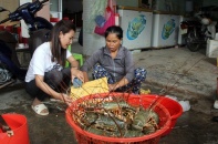 Sự thật về giá tôm hùm ở Phú Yên chỉ 200.000 đồng/kg