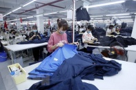 "Việc EU đóng cửa biên giới chưa ảnh hưởng tới lưu thông hàng hóa"